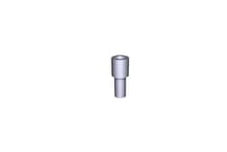 Waters Corp Compression Screw, 1/8in, PEEK, Quantity: Each of 1
