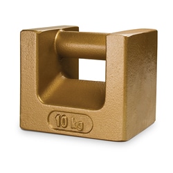 Rice Lake Weighing System Weight, 10kg ASTM Class 6, Quantity: Each of