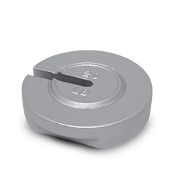 Rice Lake Weighing System&nbsp;WEIGHT 20LB CAST INTRLOCK