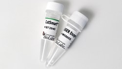 New England Biolabs, Inc. USER Enzyme – 250 units, Quantity: Each of 1