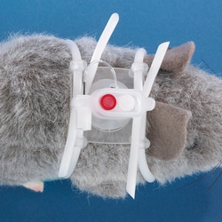Instech&nbsp;Dual channel Vascular Access Harness&trade; for rats with one additional injection port. With VAH6M injector. Sterile. For rat infusion and blood sampling, or use with VAHD115L loop connector for bile sampling.