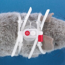 Instech Dual channel Vascular Access Harness for rats with two additional