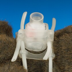Instech Loop connector for dual channel rat Vascular Access Harness. Sterile.