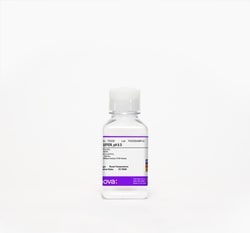 Teknova TE Buffer, pH 8.0. (10mM Tris, 1mM EDTA). 250mL, Sterile, DNase/RNase