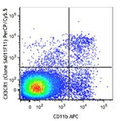 Biolegend PerCP/Cyanine5.5 anti-mouse CX3CR1, Quantity: Each of 1