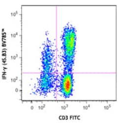 Biolegend Brilliant Violet 785 anti-human IFN-γ, Quantity: Each of 1