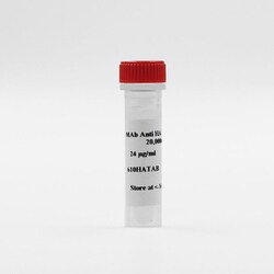 Revvity Health Sciences Inc HTRF mAb Anti-HA Tb-Conjugate, 5,000 Assay