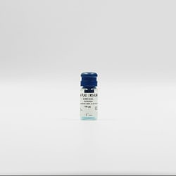 Revvity Health Sciences Inc HTRF mAb Anti-FLAG XL665-Conjugate, 20,000