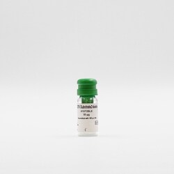 Revvity Health Sciences Inc HTRF STK-Substrate 2-biotin, 500 Âµg, Quantity: