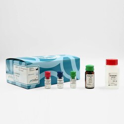 Revvity Health Sciences Inc HTRF cAMP Gs HiRange Detection Kit, 20,000