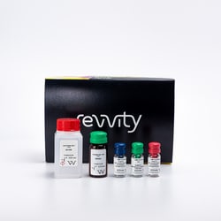 Revvity Health Sciences Inc HTRF cAMP Gs HiRange Detection Kit, 1,000 Assay