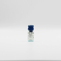 Revvity Health Sciences Inc&nbsp;HTRF mAb Anti-FLAG XL665-Conjugate, 5,000 Assay Points