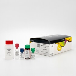 Revvity Health Sciences Inc HTRF KinEASE STK S1 Kit, 1,000 Assay Points,