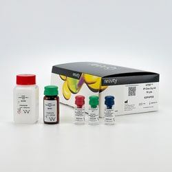 Revvity Health Sciences Inc HTRF IP-One Gq Detection Kit, 1,000 Assay Points,