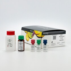 Revvity Health Sciences Inc HTRF IP-One Gq Detection Kit, 20,000 Assay