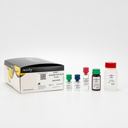 Revvity Health Sciences Inc HTRF KinEASE STK-S3 Kit, 1,000 Assay Points,