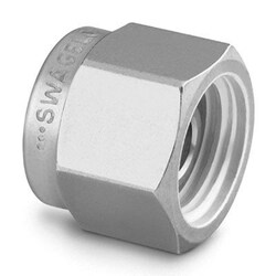 Perkin Elmer US LLC Swagelok Stainless Steel Plug, 0.0625 in, Quantity:
