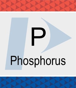 Perkin Elmer US LLC Phosphorus (P) Pure Standard, 1,000 µg/mL, H2O, 500