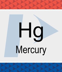 Perkin Elmer US LLC Mercury (Hg) Pure Standard, 1,000 µg/mL,10% HNO3, 125