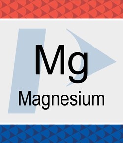 Perkin Elmer US LLC&nbsp;Magnesium (Mg) Pure Standard, 1,000 µg/mL, 2% HNO3, 125 mL
