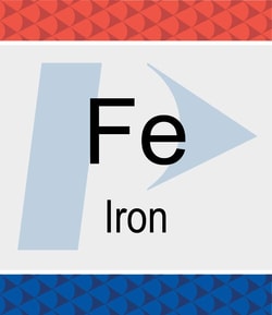 Perkin Elmer US LLC Iron (Fe) Pure Standard, 1,000 µg/mL, 2% HNO3, 125