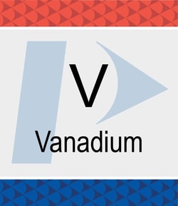 Perkin Elmer US LLC Vanadium (V) Pure Standard, 1,000 µg/mL, 2% HNO3, 125