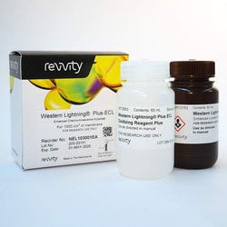 Revvity Health Sciences Inc Western Lightning Plus, Chemiluminescent Substrate