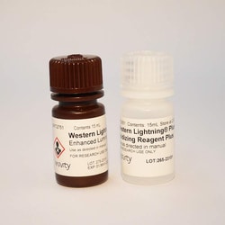 Revvity Health Sciences Inc Western Lightning Plus, Chemiluminescent Substrate