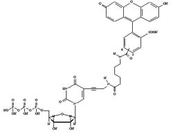 Revvity Health Sciences Inc Fluorescein-12-UTP, Quantity: Pack of 1