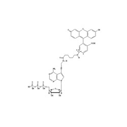 Revvity Health Sciences Inc Fluorescein-12-ATP, Quantity: Pack of 1