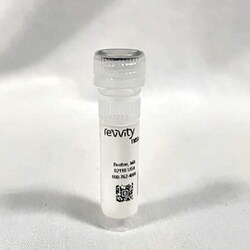 Revvity Health Sciences Inc Cyanine 5-CTP, 100 nmol, Quantity: Pack of