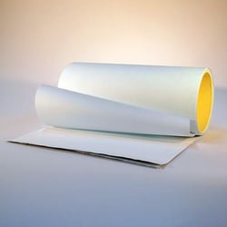 Revvity Health Sciences Inc GeneScreen Plus Hybridization Transfer Membrane,