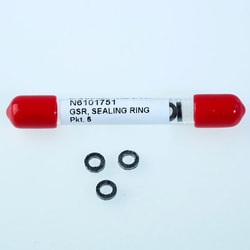 Perkin Elmer US LLC Graphite O-Ring for Glass PSS Liner