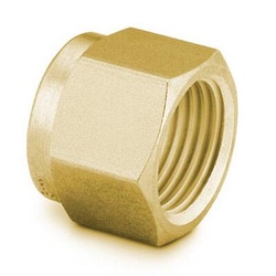 Perkin Elmer US LLC&nbsp;Swagelok Brass Nuts - 0.125 in, Pkg. 5