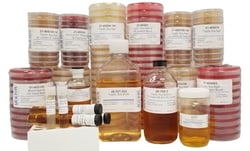 MOLTOX Molecular Toxicology Inc&nbsp;Tryptic Soy Agar, 10 mL/tube, 10 tubes/box, Store in Refrigerator