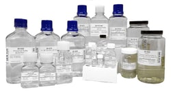 MOLTOX Molecular Toxicology Inc 0.1M Sodium Phosphate Buffer, pH 7.4, 100