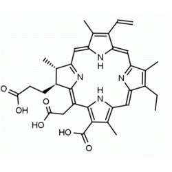 Frontier Specialty Chemicals 1G CHLORIN E6