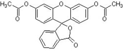 Abcam Fluorescein diacetate (FDA), 1G, Quantity: Each of 1