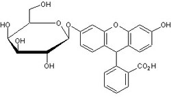Abcam Fluorescein mono-ß-D-galactopyranoside, 5MG, Quantity: Each of 1