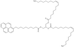 Abcam&nbsp;1,2-Dioleoyl-3-(pyren-1-yl) decanoyl-rac-glycerol, 1MG