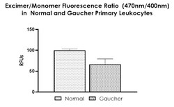 Abcam Membrane fluidity kit