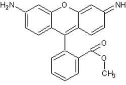 Abcam&nbsp;Rhodamine 123, 25MG