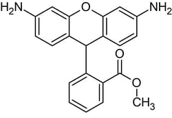 Abcam Dihydrorhodamine 123, Fluorescent probe for ROS, 2MG, Quantity: Each