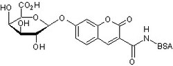Abcam 3-Carbo x yumbelliferyl ß-D-galactoside, BSA conjugate, 2MG