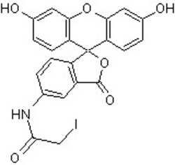 Abcam thiol reactive fluorescein derivative for synthesis of fluorescently