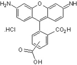Abcam Stable, long wavelength, water soluble fluorophore for DNA protein