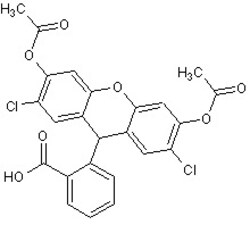 Abcam 2', 7'-Dichlorofluorescin diacetate, 25MG, Quantity: Each of 1