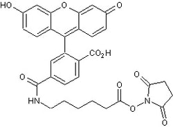 Abcam Fluorescein-5(6)-carboxamidocaproic acid N-hydroxysuccinimidyl ester,