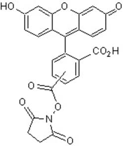 Abcam 5(6)-Carbo x yfluorescein, NHS ester, 25MG, Quantity: Each of 1