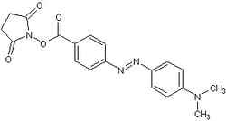 Abcam&nbsp;DABCYL SE, 25MG